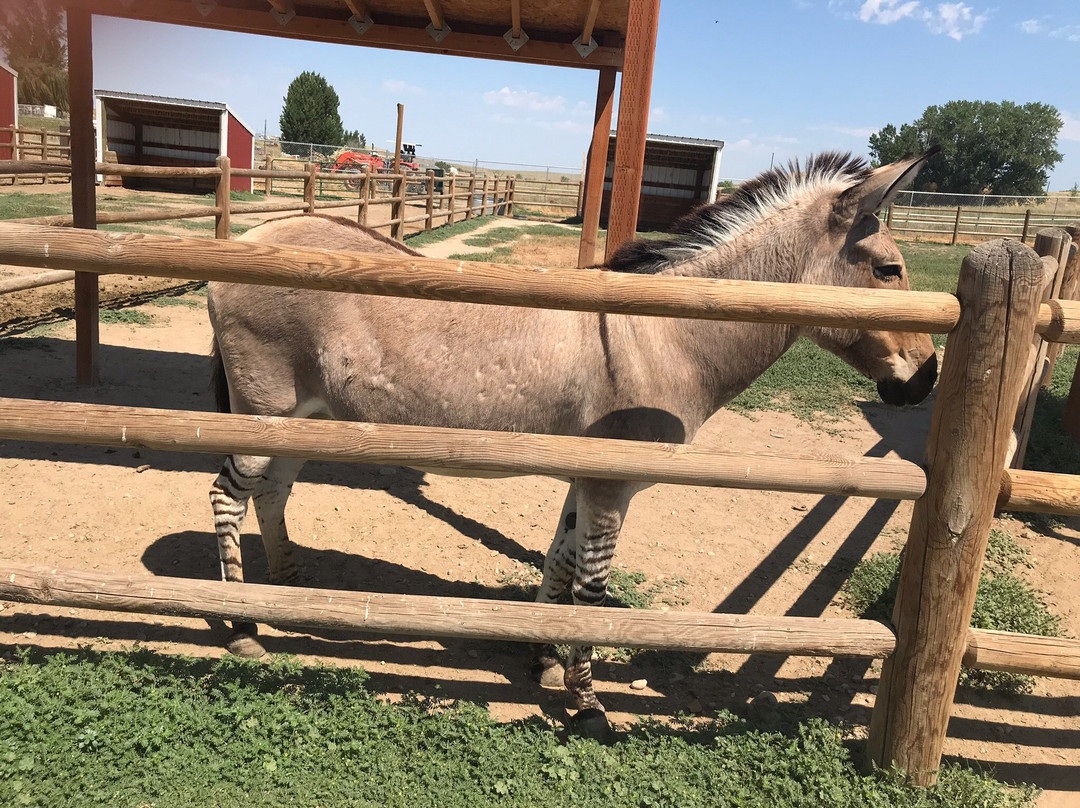 Babby Farms-Caldwell必去景点