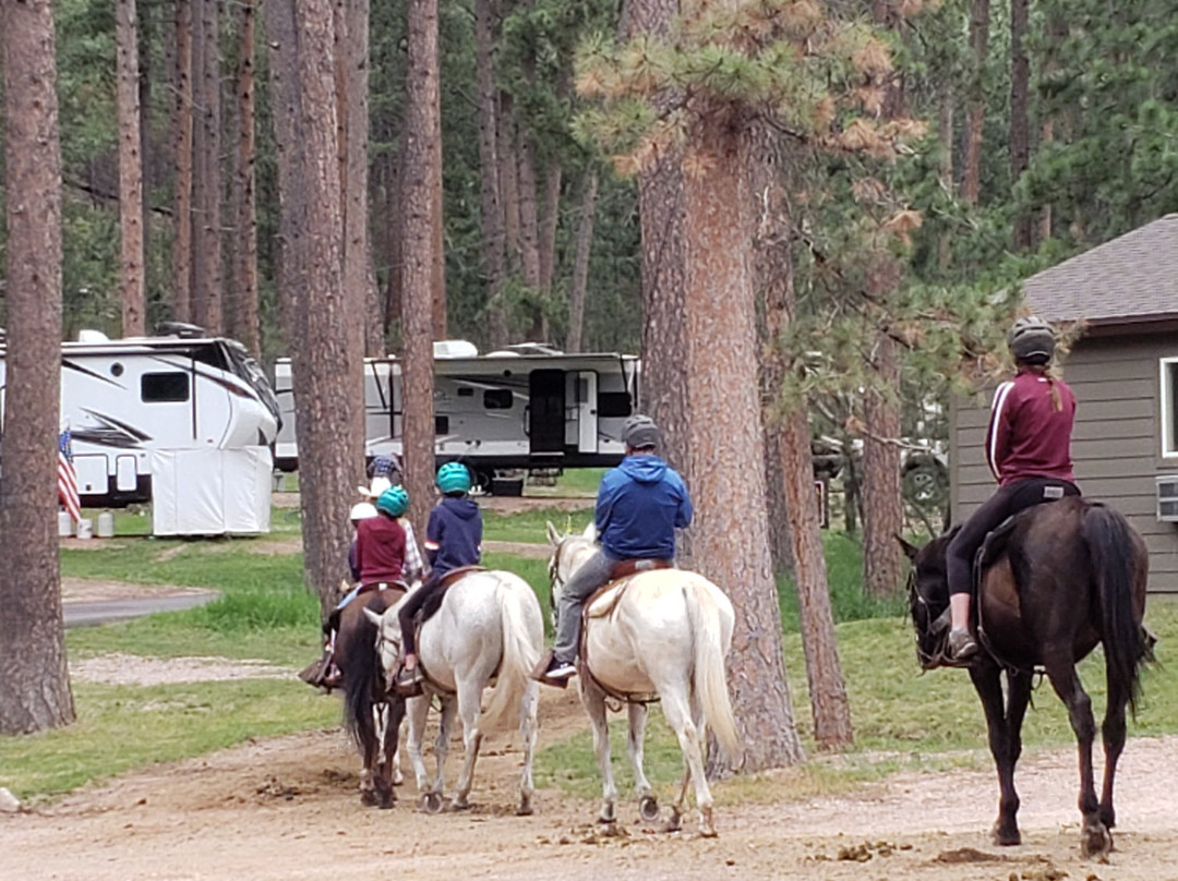 Blue Bell Stables-卡斯特必去景点