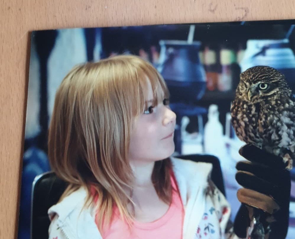 Birds of Prey Educational Centre-Midleton必去景点