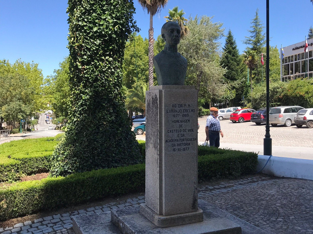 Busto do Dr.Jose Pereira Flores景点图片
