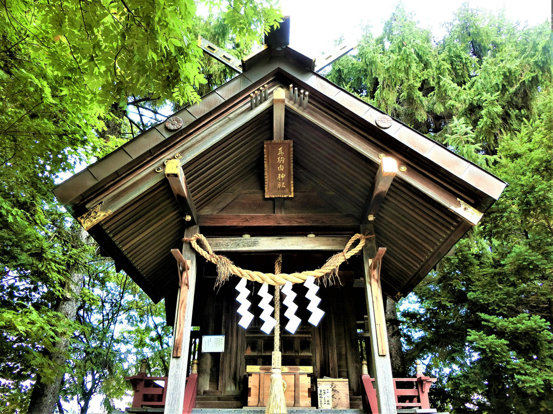 Makomanai Shrine景点图片