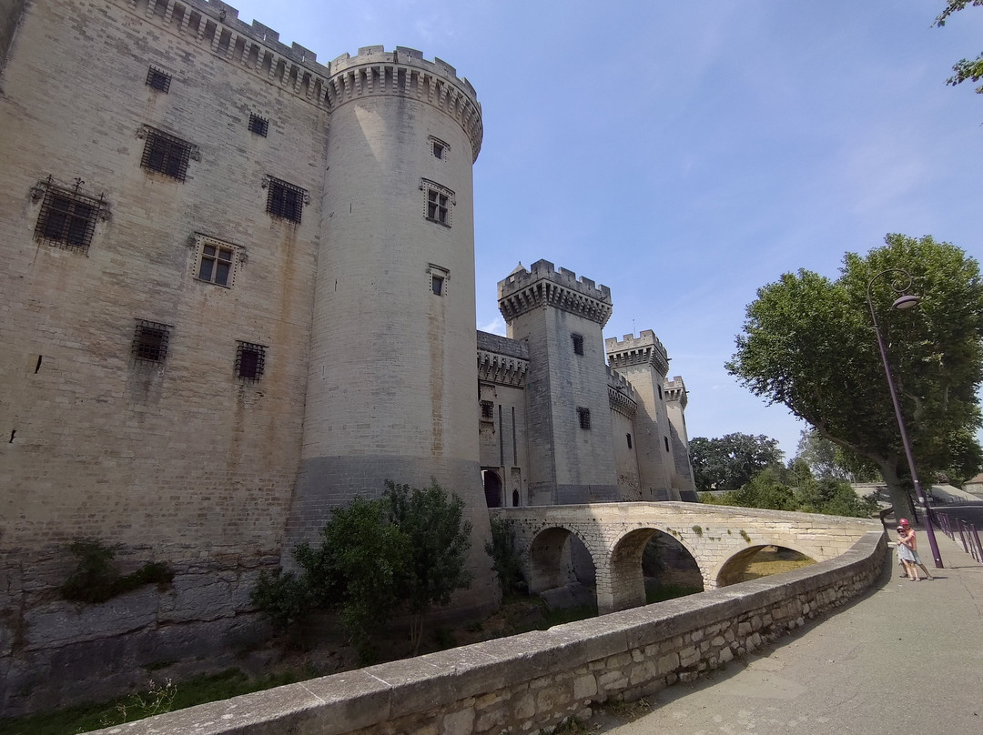 Chateau de Tarascon景点图片