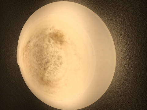 Super 8 by Wyndham Mobile/Tillmans Corner主图