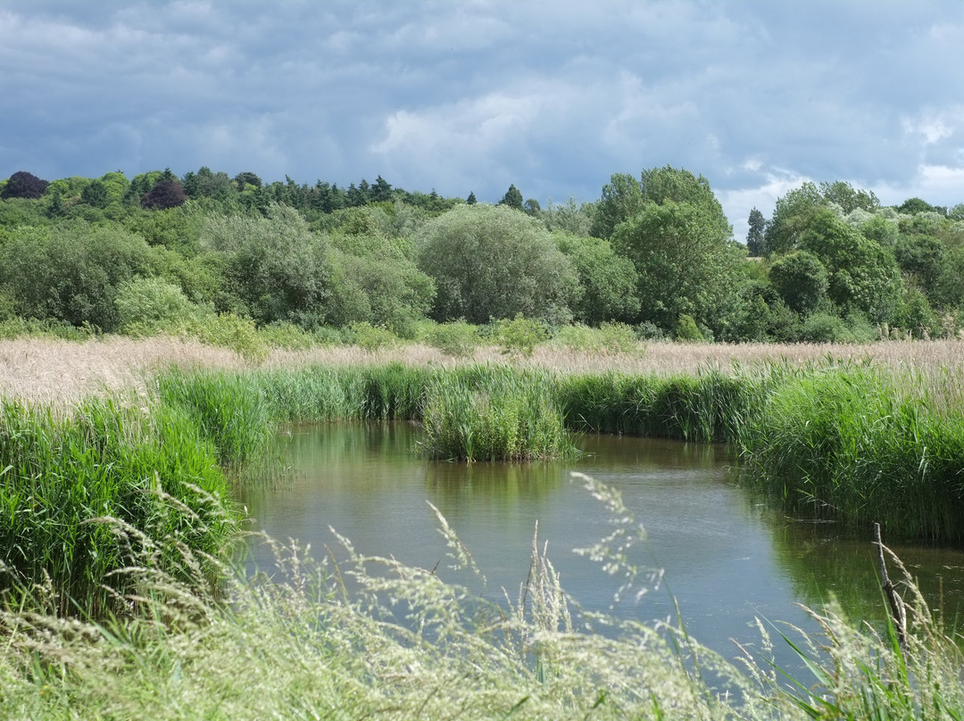 Amwell Nature Reserve景点图片