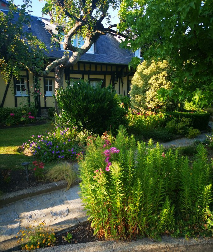 Logis Hôtel de la Croix d'Or主图