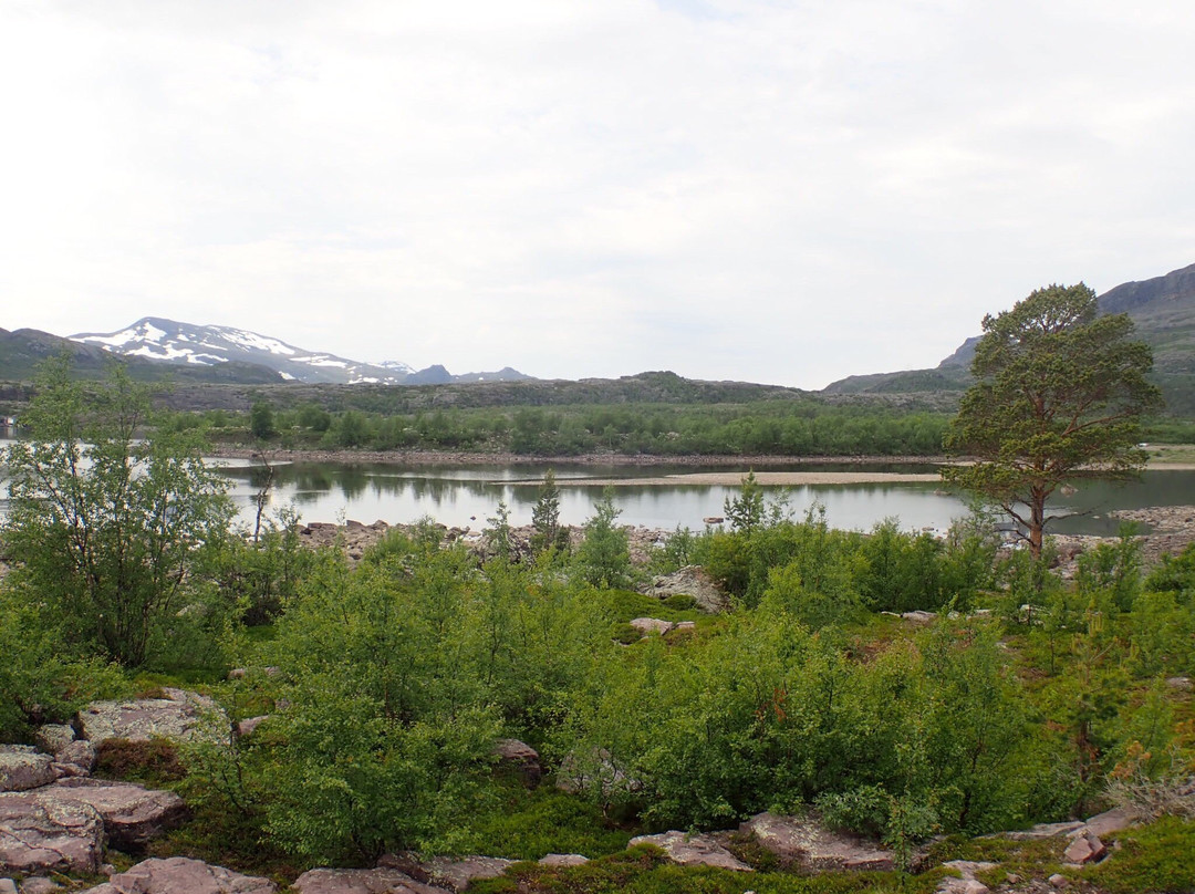 Stora Sjöfallet National Park景点图片