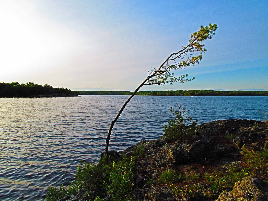 Massasauga Provincial Park景点图片