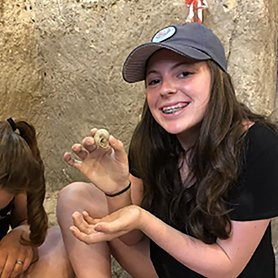 Dig For A Day — Archaeological Seminars Institute-耶路撒冷必去景点