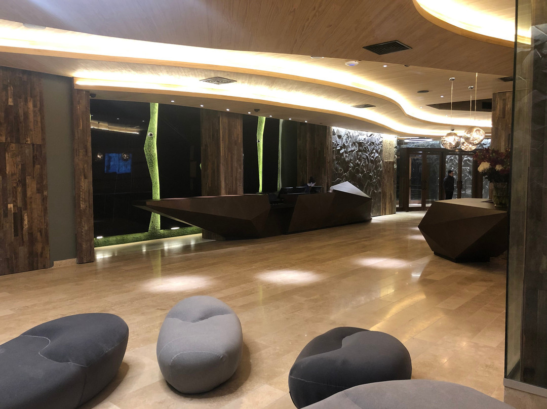 Hotel Termas Chillán主图