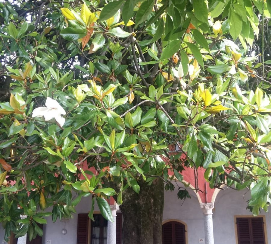 Casa Mariuccia主图