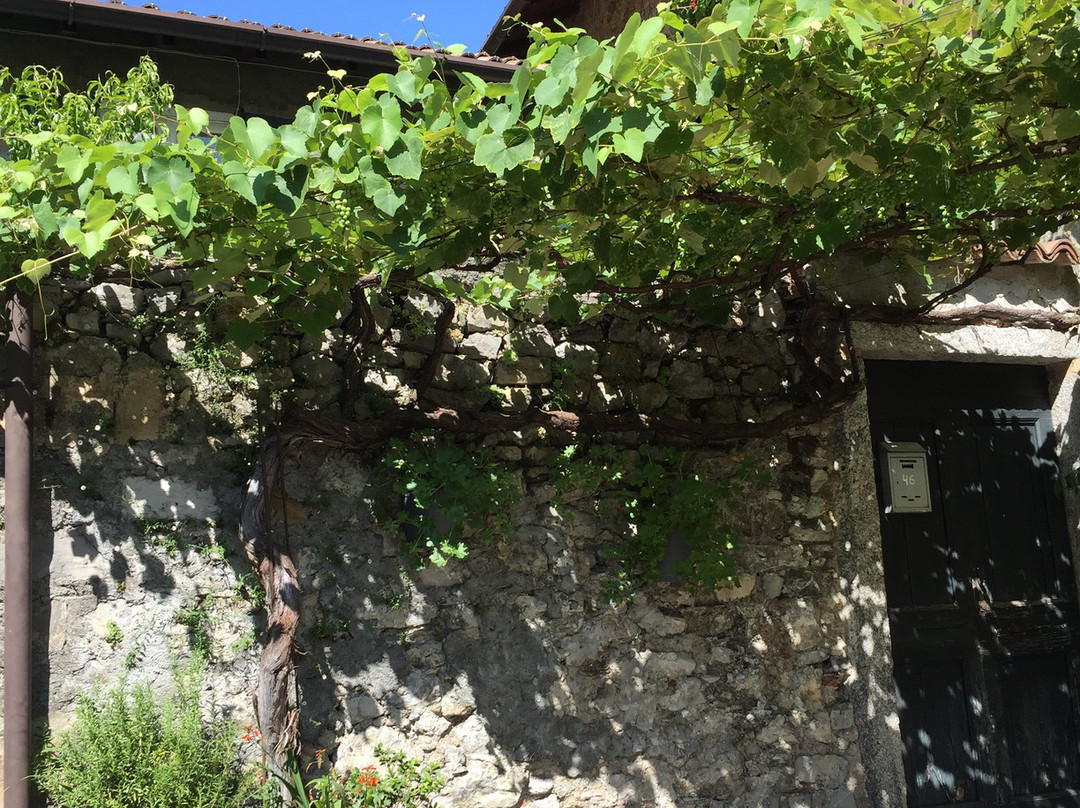 Borgo di Pescallo景点图片