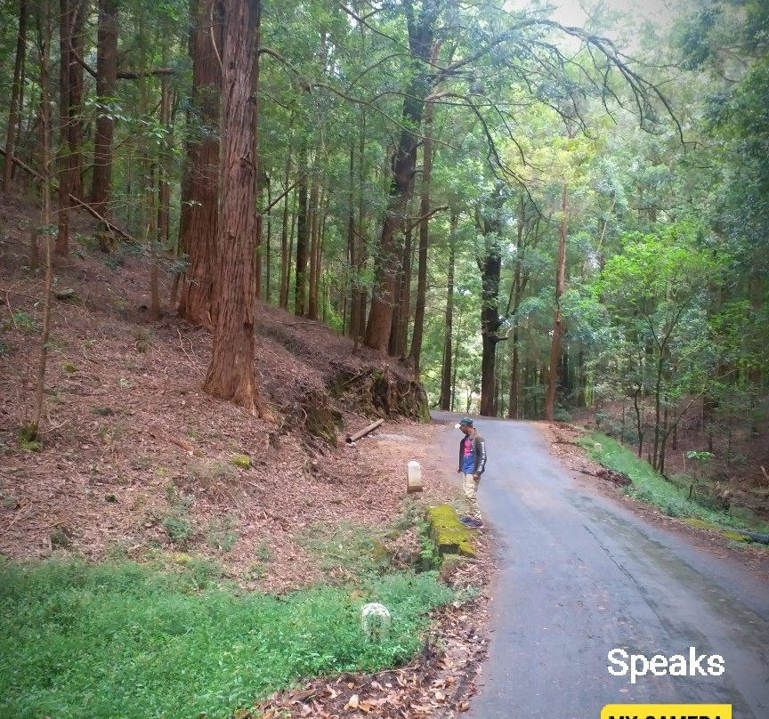 Hiking Bambarakanda to Horton Plains-Ohiya必去景点
