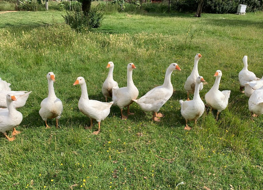 Broughton Grounds Farm Bed & Breakfast-官方
