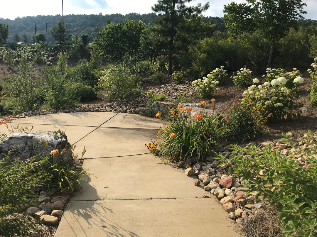 The Pinnacle-布里斯托尔必去景点