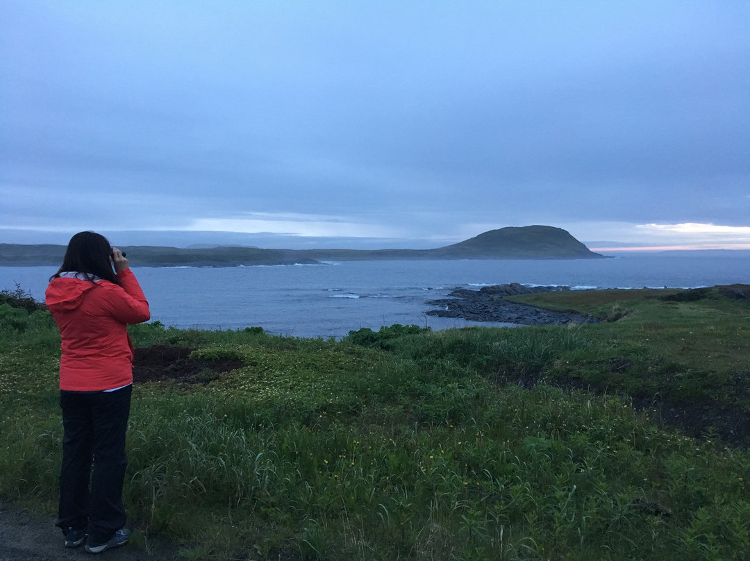 Jenny's Runestone House主图