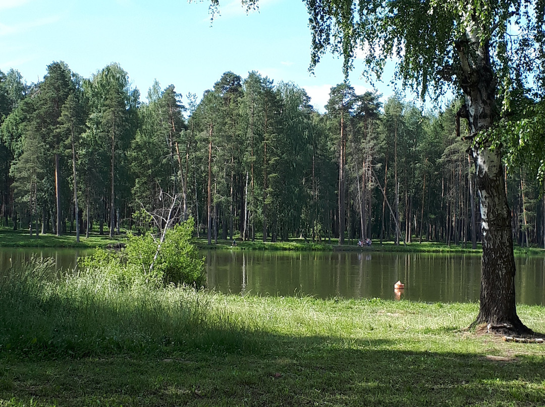 Park Hotel Berendeevka主图