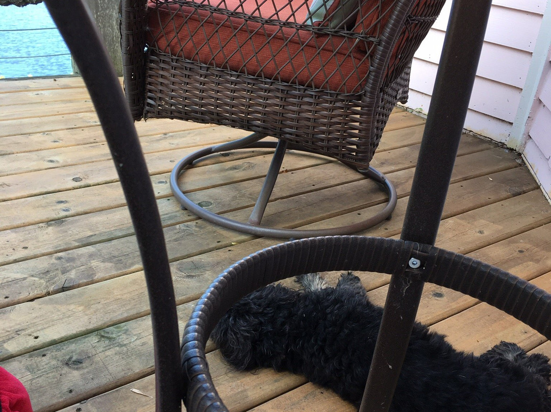 Red Bridge Inn主图