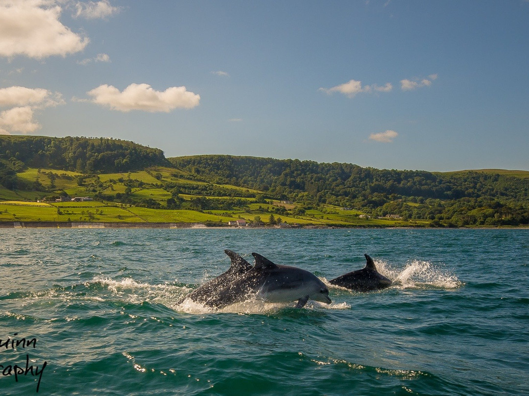 Carnlough Bay Boat Tours景点图片