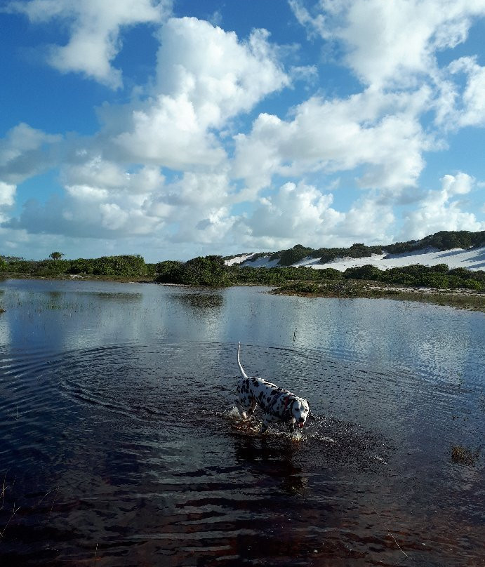 Praia de Massarandupió-恩特雷里奥斯必去景点