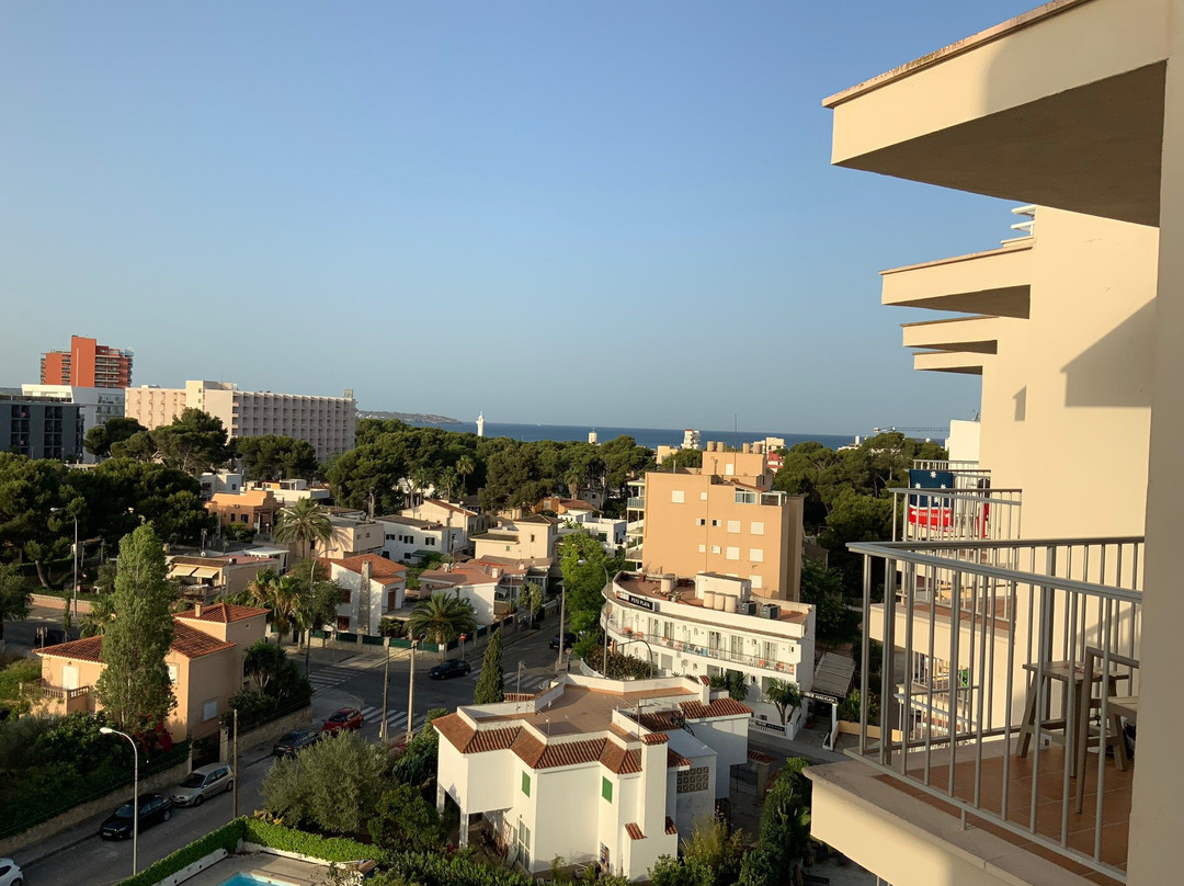 维斯塔奥丁酒店主图