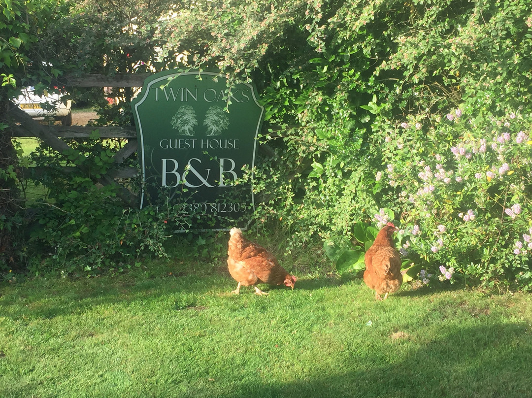 Twin Oaks Guest House主图