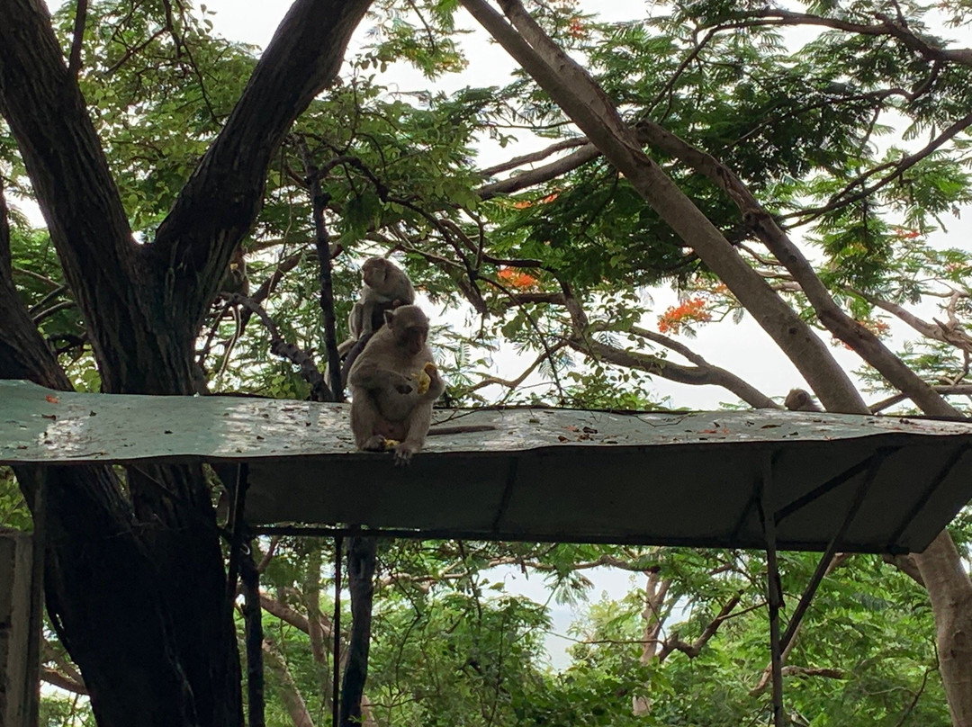 Monkey Pagoda-头顿必去景点