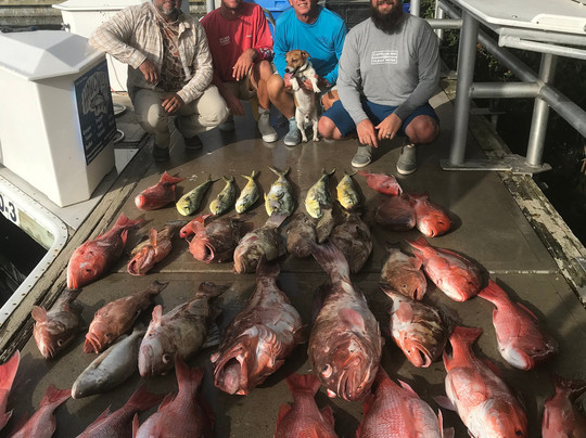 Hawgwild Fishing Charters-迈尔斯堡海滩必去景点