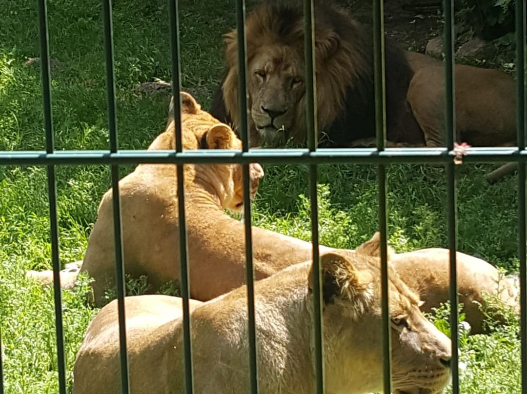 Tierpark Stralsund景点图片