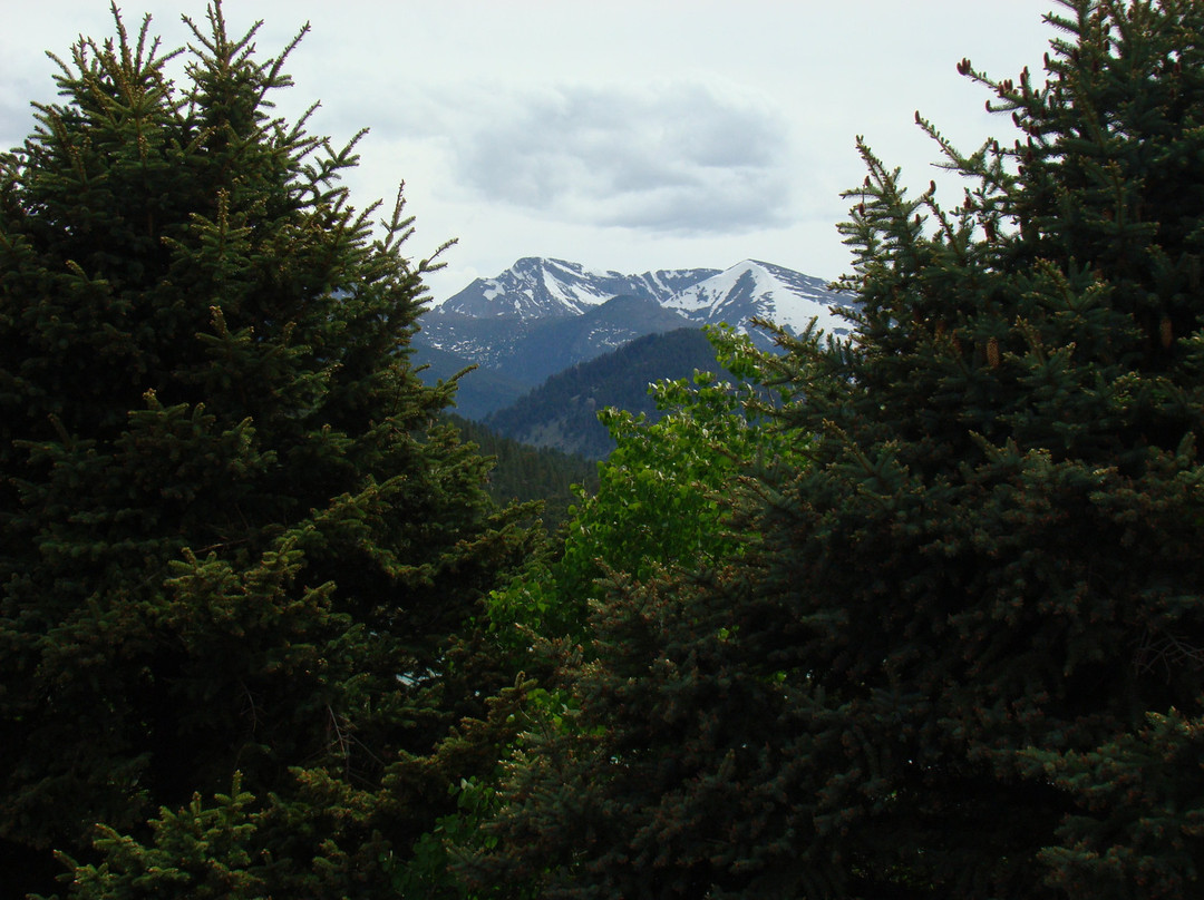 Alpine Trail Ridge Inn主图