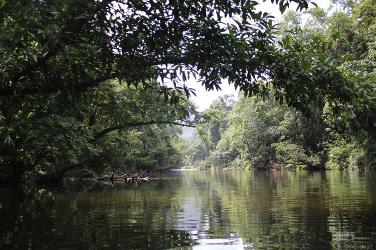 Konni Adavi Eco-Tourism景点图片