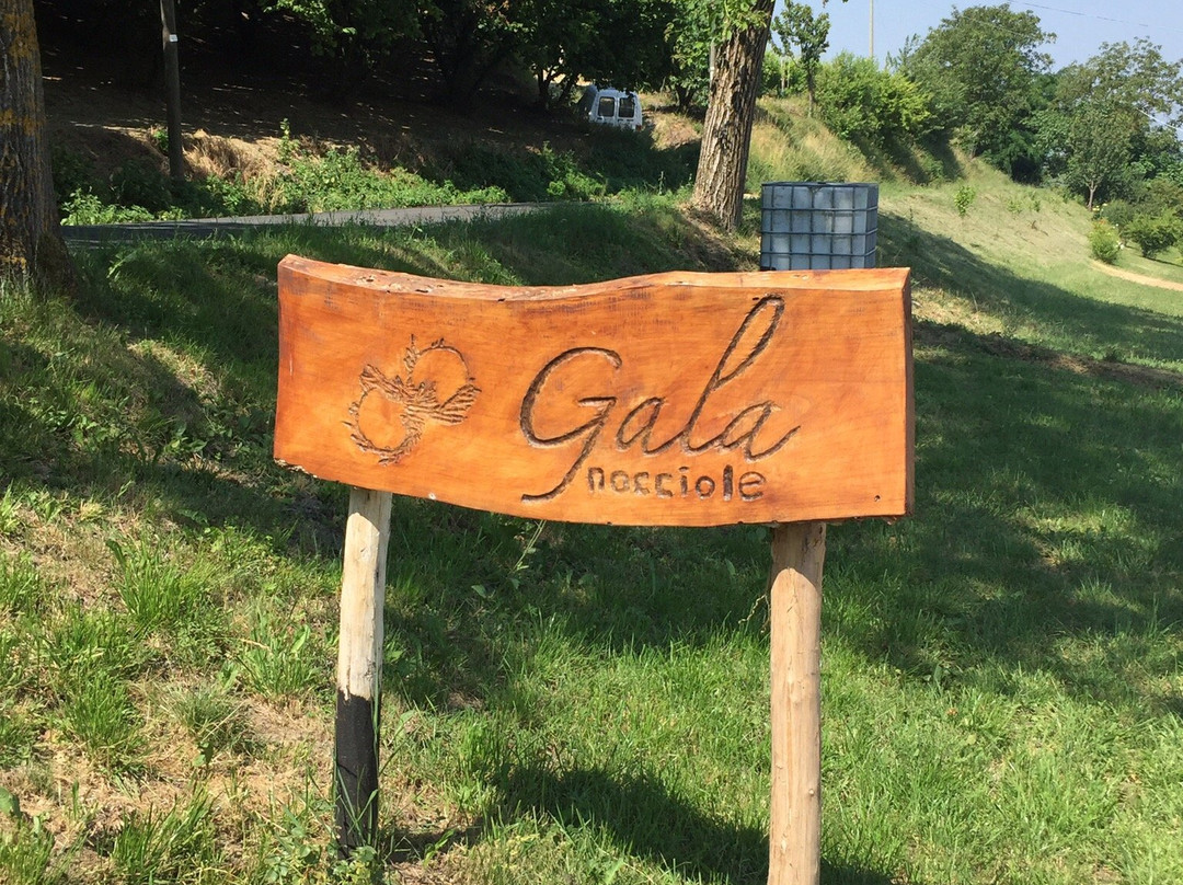 Azienda Agricola Gala景点图片