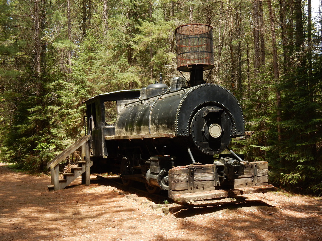 Algonquin Logging Museum Trail景点图片