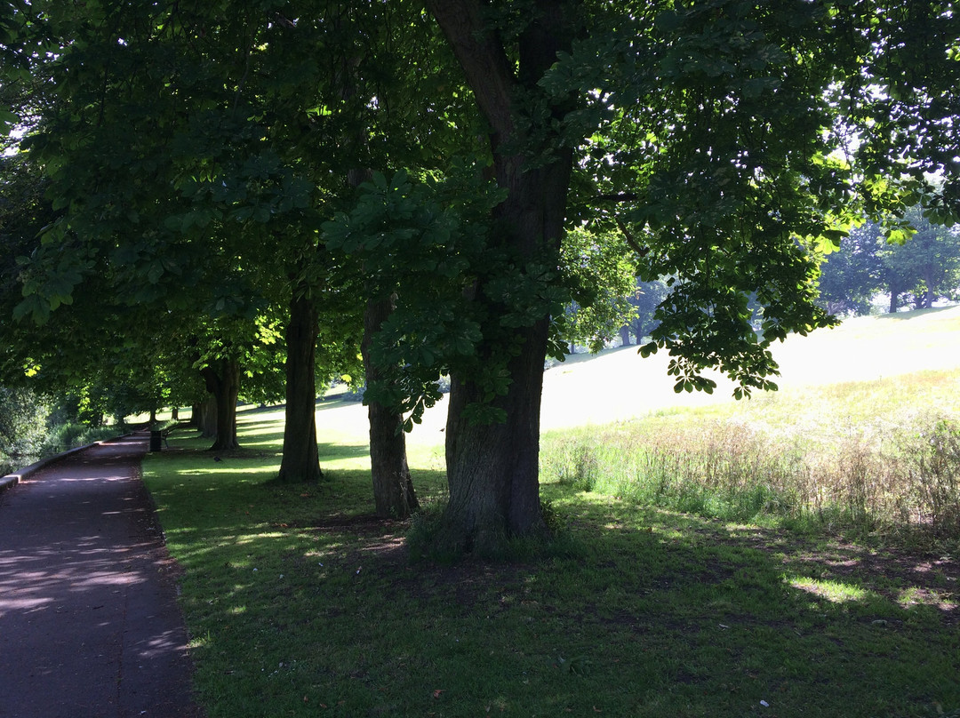 Oxhey Park景点图片