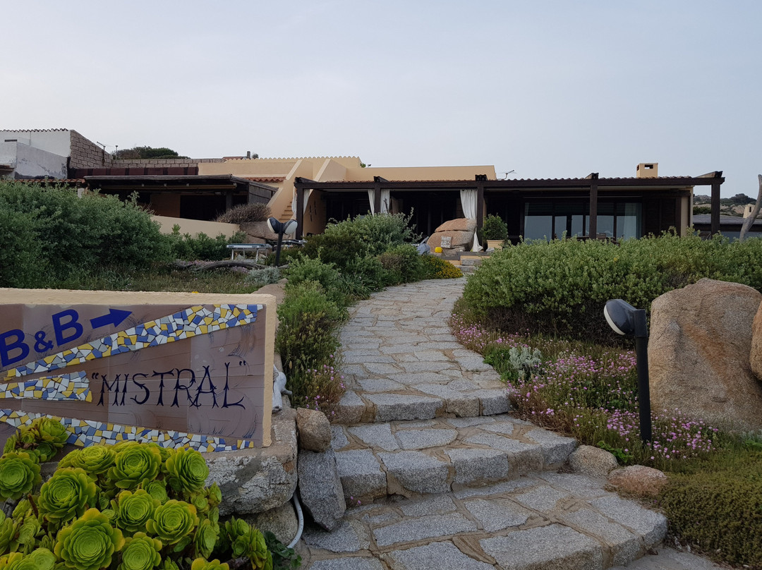 B&B Mistral主图