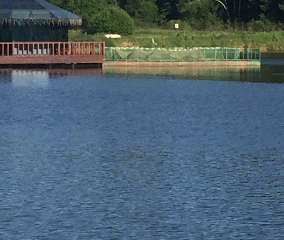 Kubinka Fishing Park主图