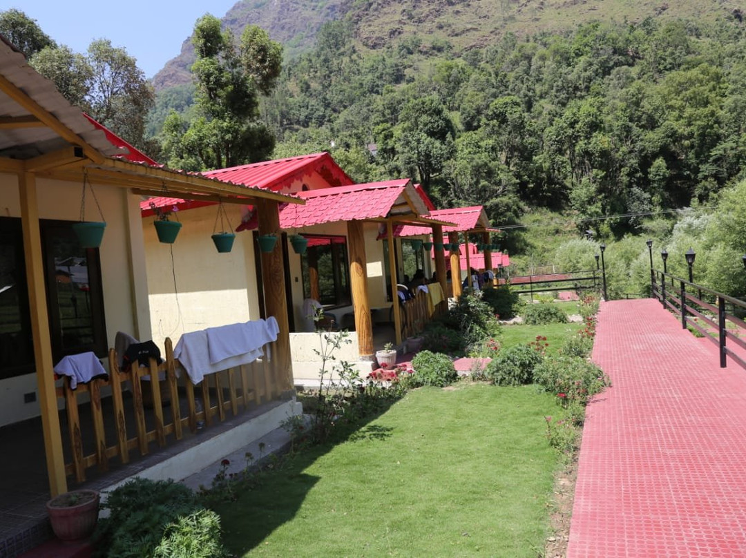 The Jungle Pool主图