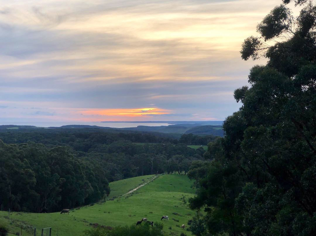 Southern Anchorage Retreat主图