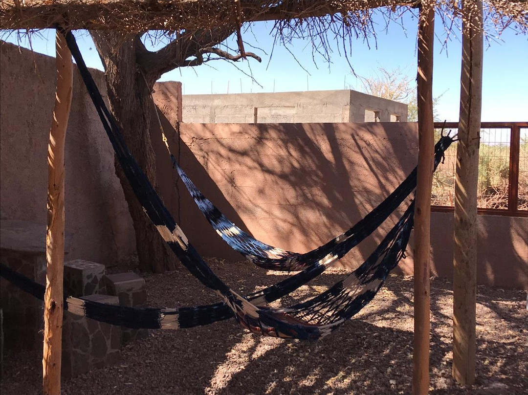 El Amigo Lucho主图