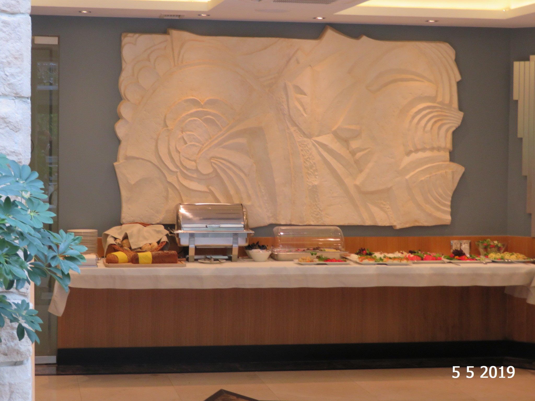 Villa Alina Medical & SPA-餐饮