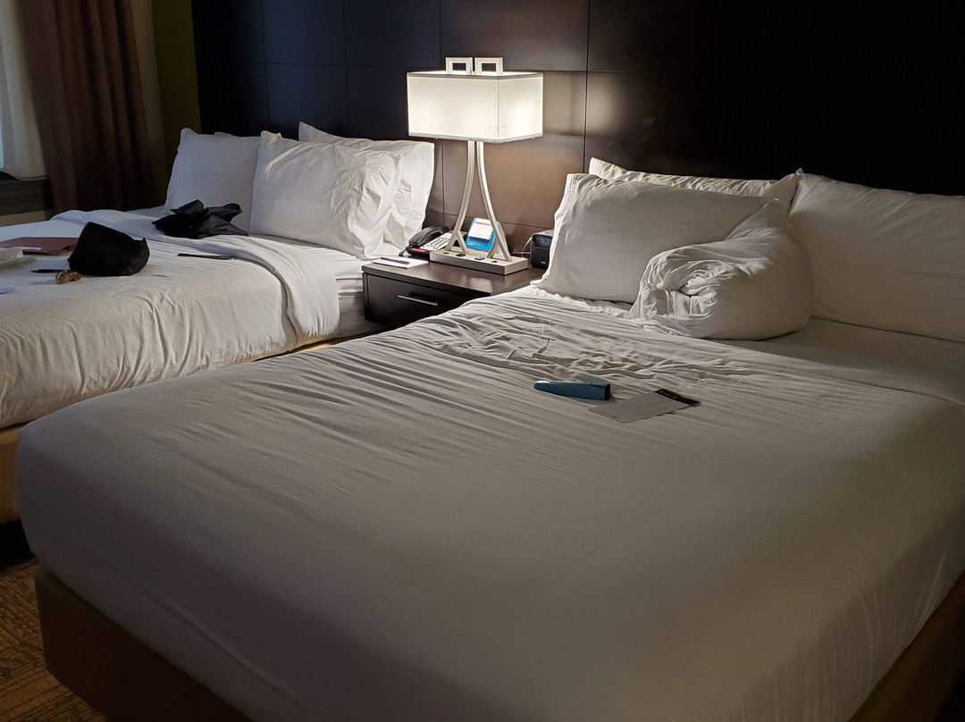 Staybridge Suites Baltimore - Inner Harbor by IHG主图