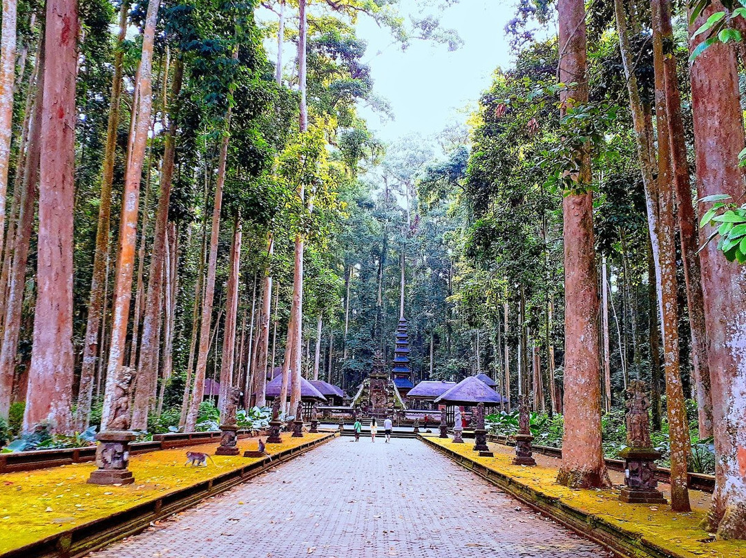 Sangeh Traditional Village - Day Tours景点图片