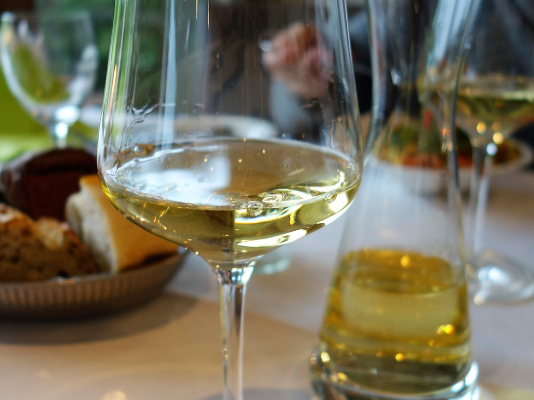 Hotel Kaufmann主图