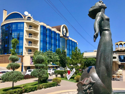 顿河畔罗斯托夫丽笙酒店主图