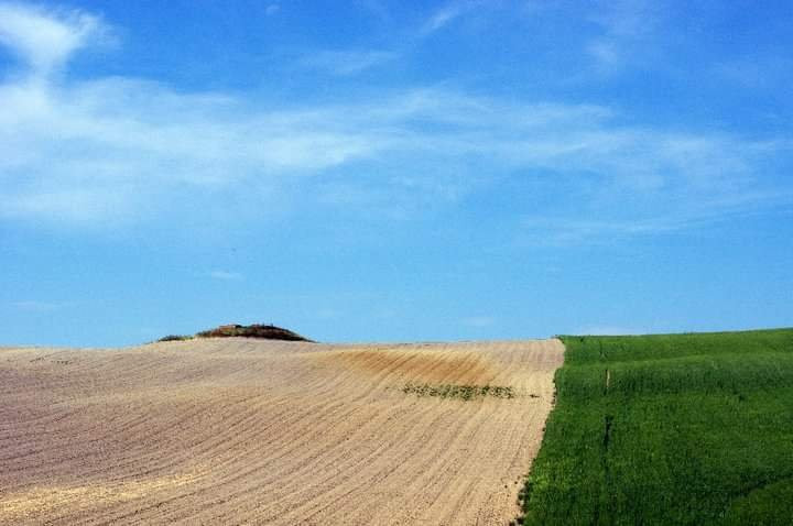 Rolling Hills Tours景点图片