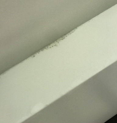 Best Western Plus Myrtle Beach @ Intracoastal主图