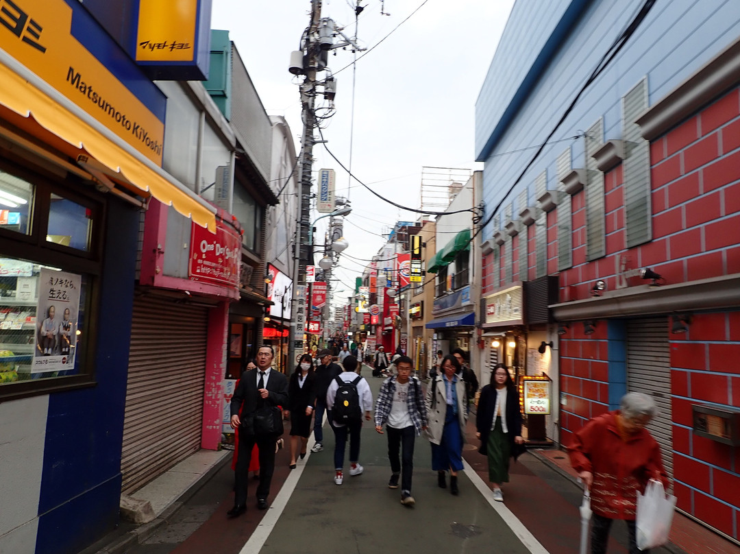 Shimotakaido Shopping Street景点图片