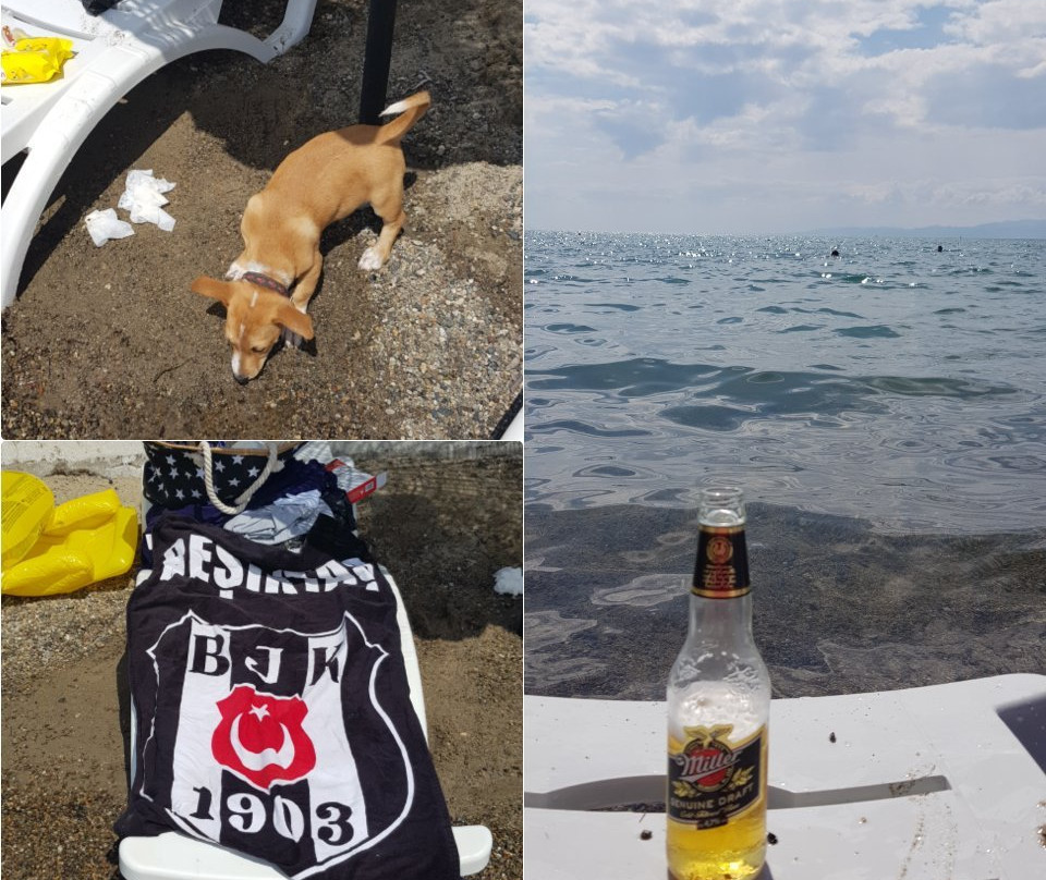 Artemis Oren Tatil Koyu主图