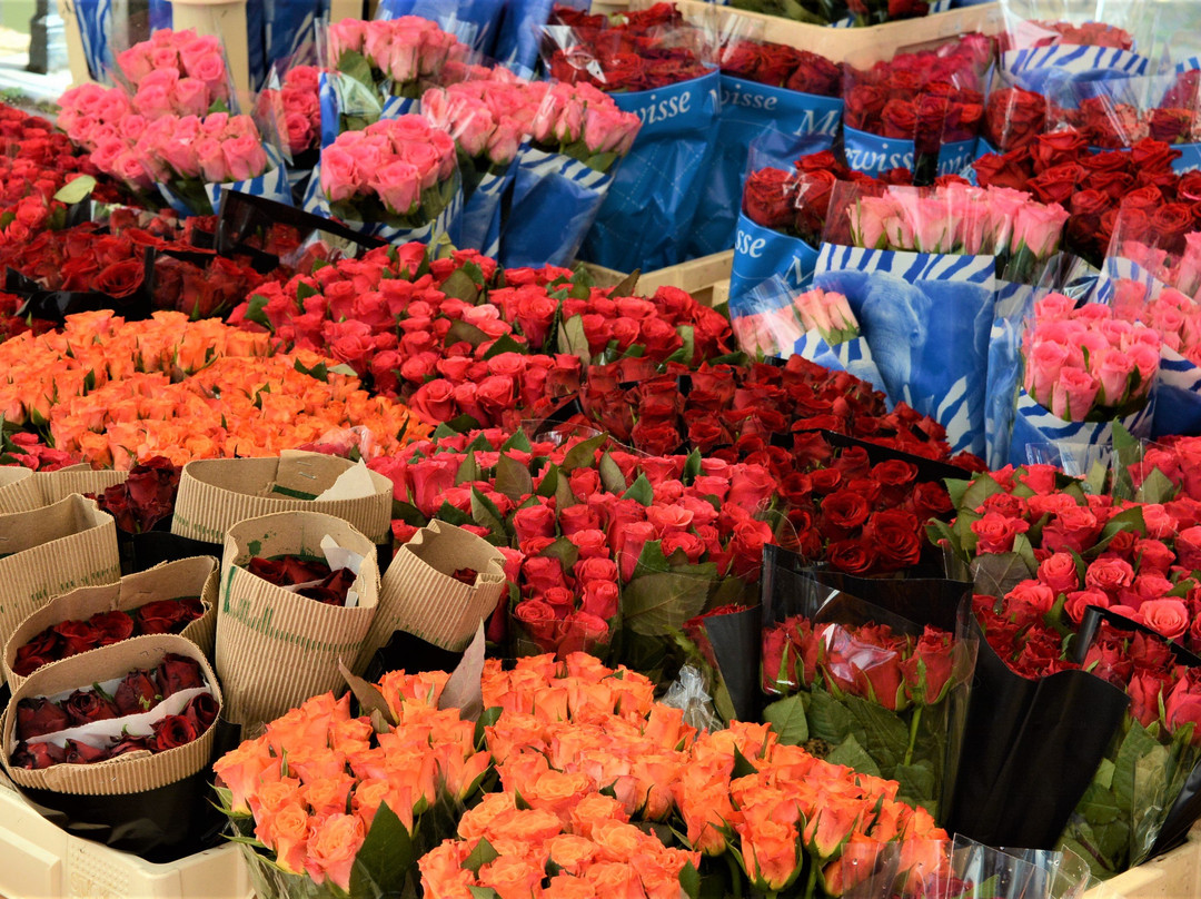 Bloemenmarkt, Janskerkhof, Utrecht-乌特勒支必去景点