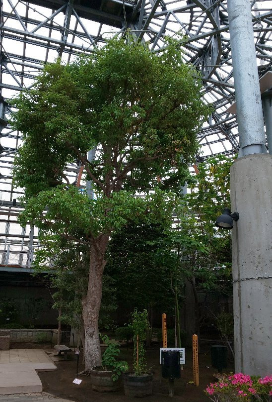 Kushiro Fisherman 's Wharf EGG-钏路市必去景点