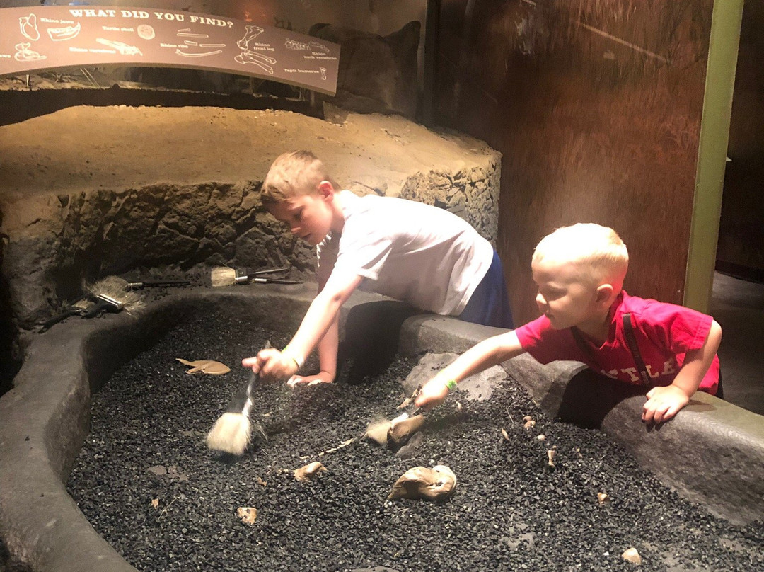 Hands On! Discovery Center at Gray Fossil Site-约翰逊城必去景点